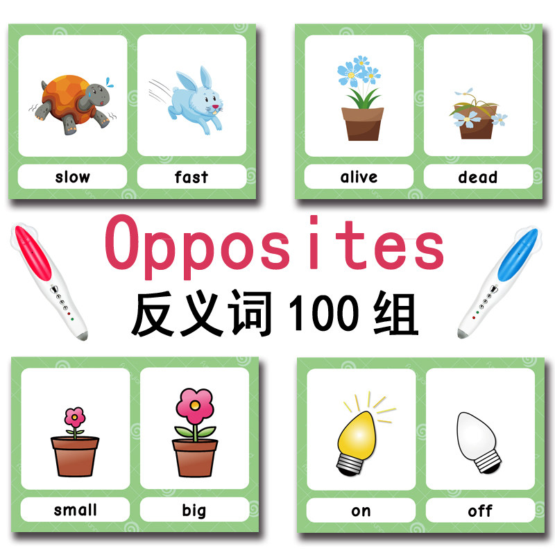 100 cartes mémoire sur les gro - Kids Education School avis et prix