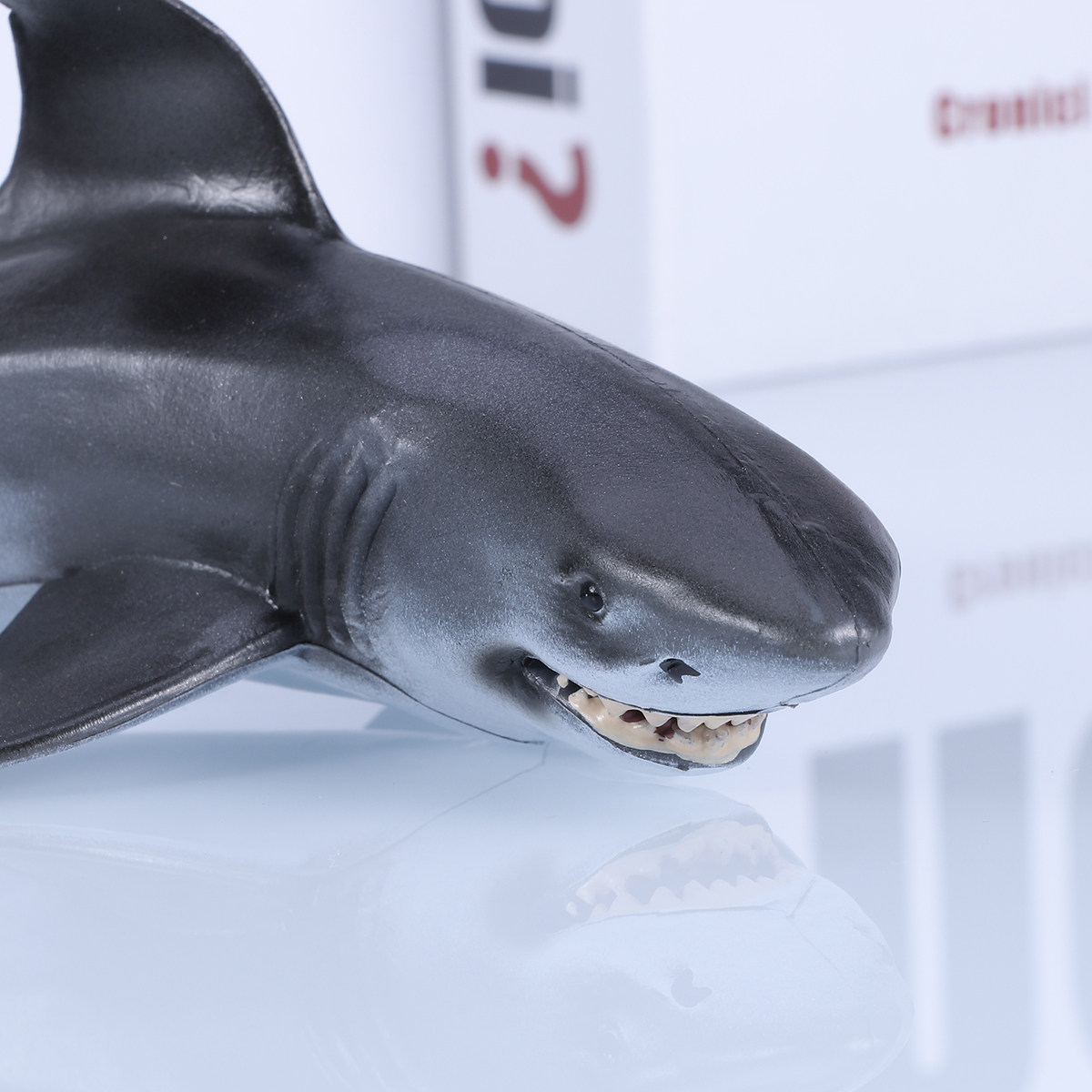 Sculpture de requin exquise, f - Kids Education Room avis et prix