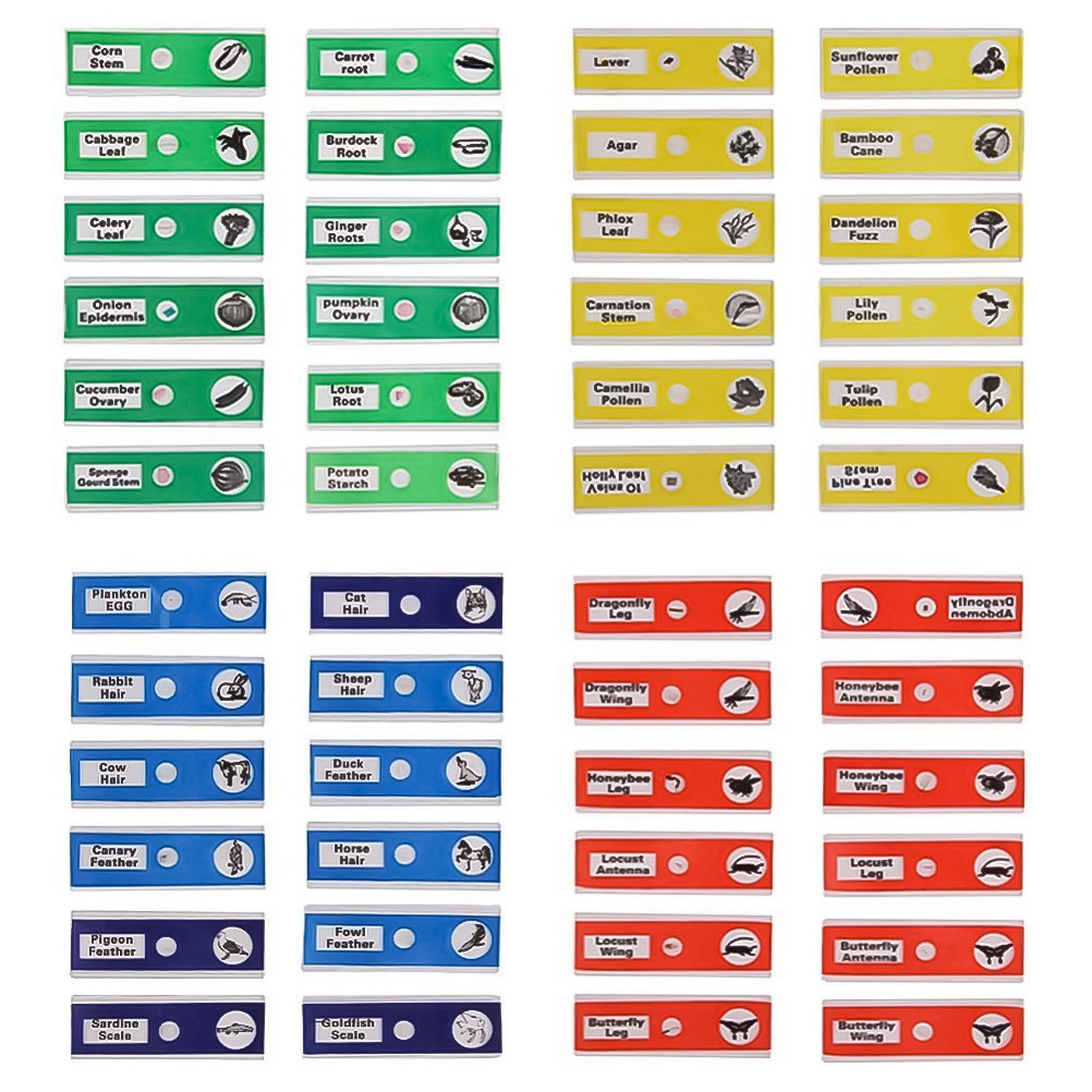 Lot de 24 lames de microscope  - Kids Education Name avis et prix