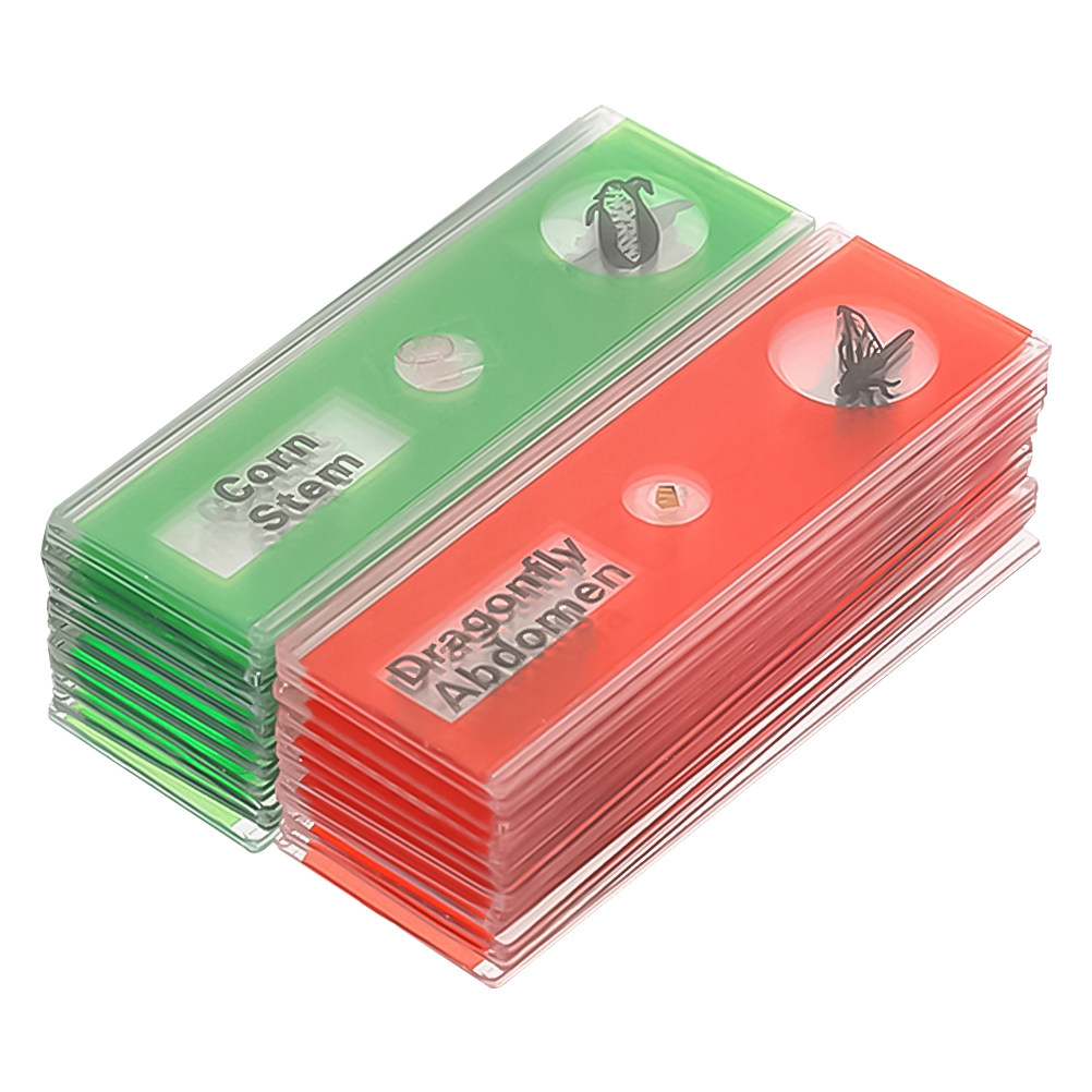 Lot de 24 lames de microscope  - Kids Education Name avis et prix