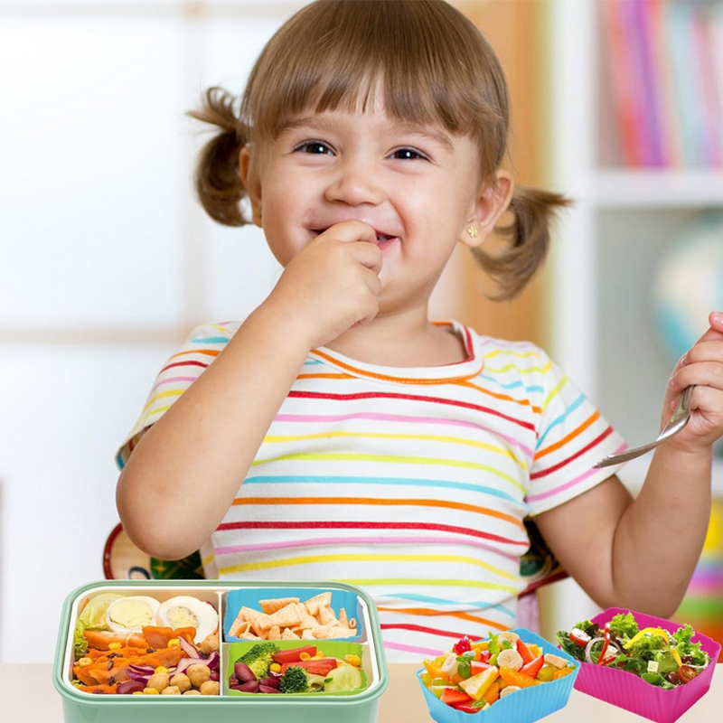 Diviseurs de boîte à lunch en  - Kids Education School avis et prix