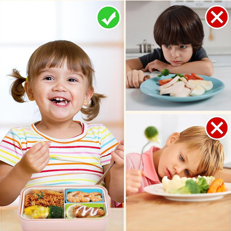 Diviseurs de boîte à lunch en  - Kids Education School avis et prix